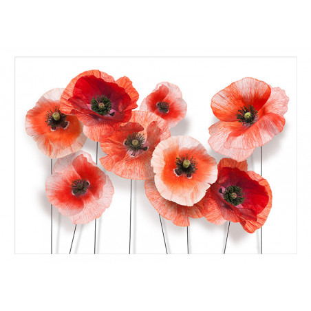 Fototapet Nine Poppies-01