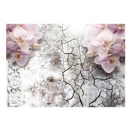Fototapet Bright Red Orchids-01