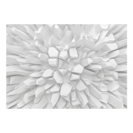 Fototapet White Dahlia-01