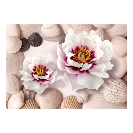 Fototapet Flowers And Shells-01