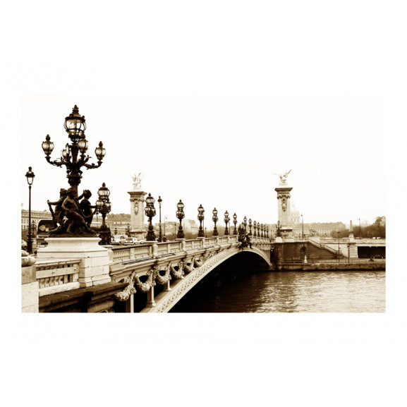 Poza Fototapet Alexander Iii Bridge, Paris