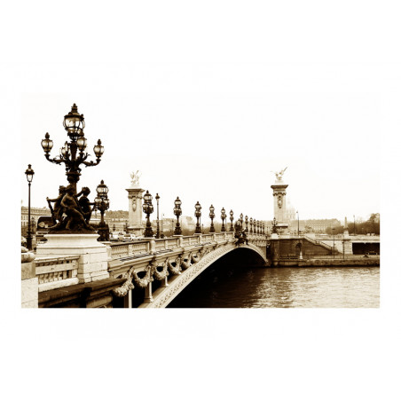 Fototapet Alexander Iii Bridge, Paris-01