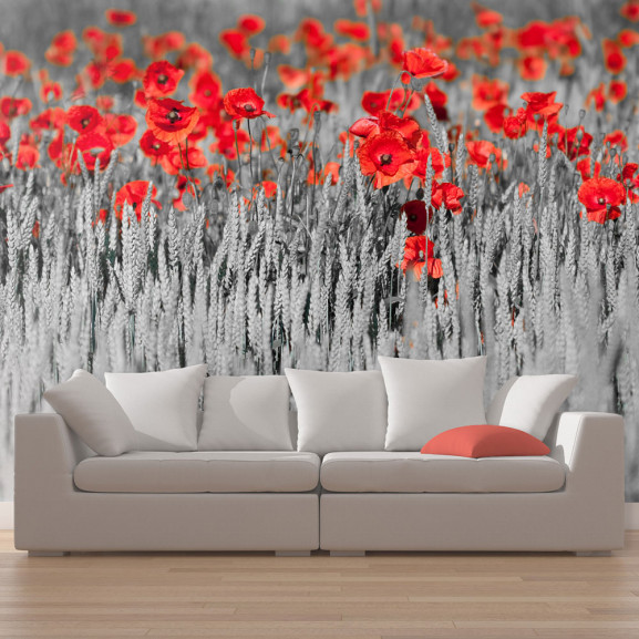 Fototapet Red Poppies On Black And White Background