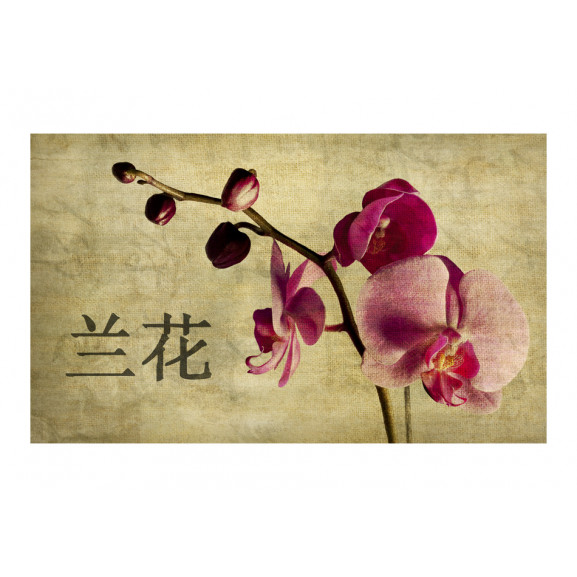 Fototapet Japanese Orchid