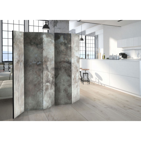 Paravan Hail Cloud Ii [Room Dividers] 225 cm x 172 cm-01