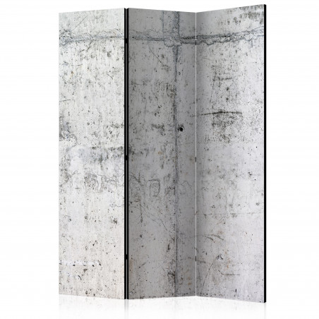 Paravan Concrete Wall [Room Dividers] 135 cm x 172 cm-01