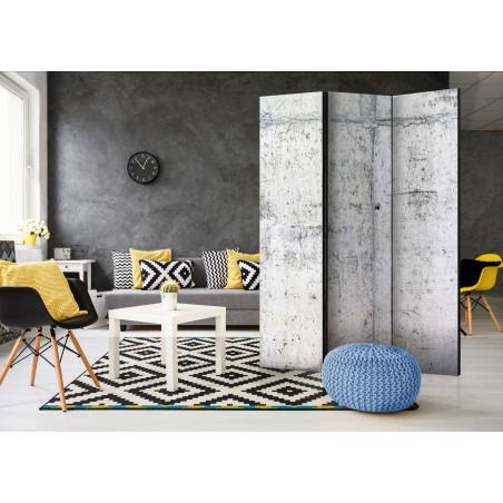 Paravan Concrete Wall [Room Dividers] 135 cm x 172 cm-01