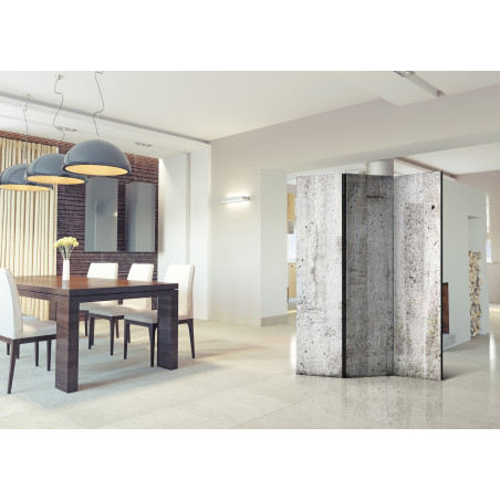 Paravan Grey Emperor [Room Dividers] 135 cm x 172 cm-01