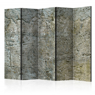 Paravan Stony Barriere Ii [Room Dividers] 225 cm x 172 cm