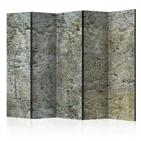 Paravan Stony Barriere Ii [Room Dividers] 225 cm x 172 cm-01