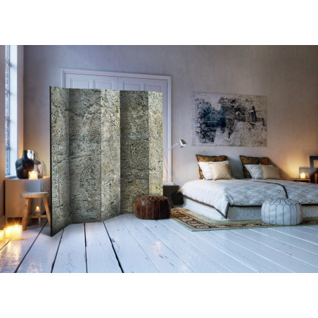 Paravan Stony Barriere Ii [Room Dividers] 225 cm x 172 cm-01