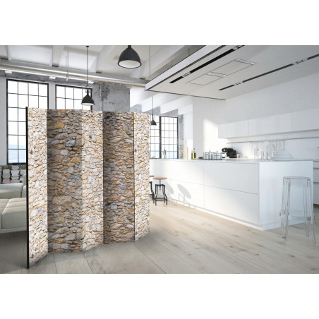 Paravan Pebbles Ii [Room Dividers] 225 cm x 172 cm-01