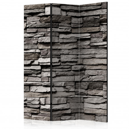 Paravan Stony Facade [Room Dividers] 135 cm x 172 cm-01