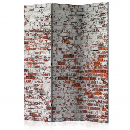 Paravan Echo Of Time [Room Dividers] 135 cm x 172 cm-01