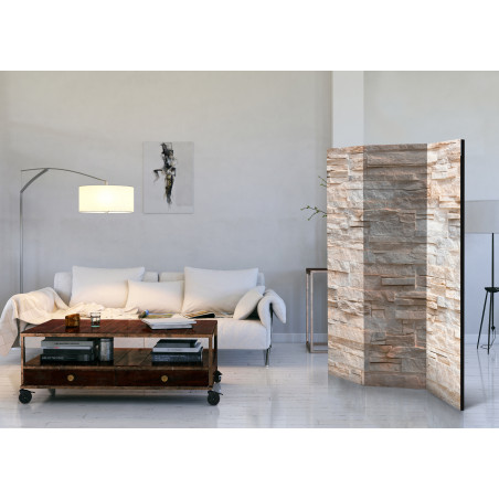 Paravan Stony Gracefulness [Room Dividers] 135 cm x 172 cm-01