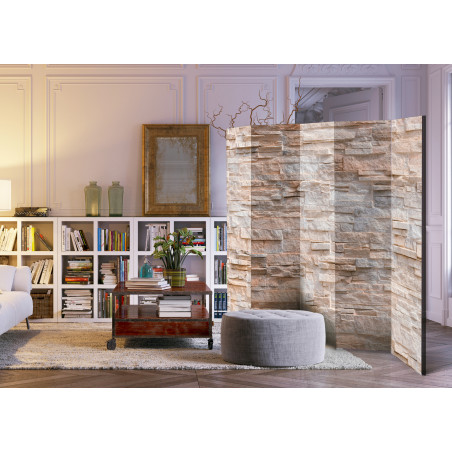 Paravan Stony Gracefulness Ii [Room Dividers] 225 cm x 172 cm-01