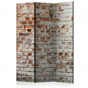 Paravan Walls Of Memory [Room Dividers] 135 cm x 172 cm