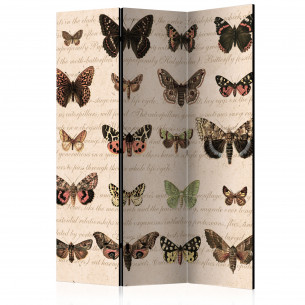 Paravan Retro Style: Butterflies [Room Dividers] 135 cm x 172 cm