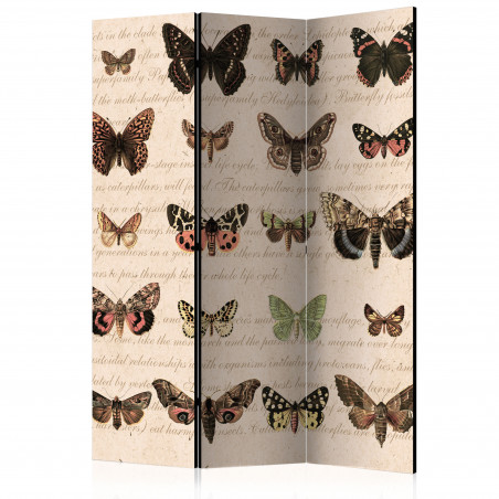 Paravan Retro Style: Butterflies [Room Dividers] 135 cm x 172 cm-01