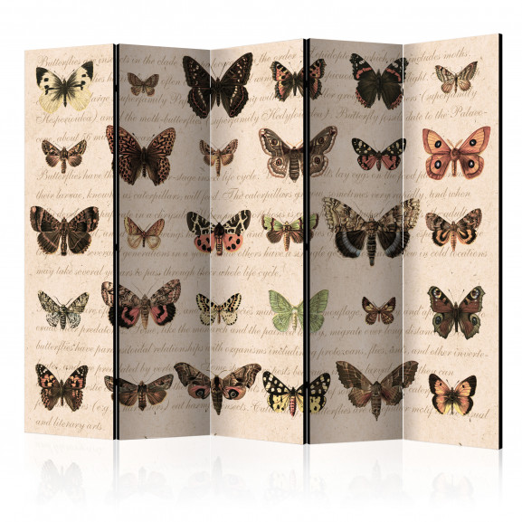 Paravan Retro Style: Butterflies Ii [Room Dividers] 225 cm x 172 cm 172