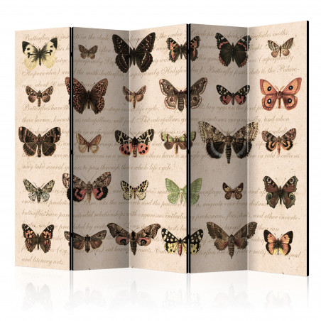 Paravan Retro Style: Butterflies Ii [Room Dividers] 225 cm x 172 cm-01