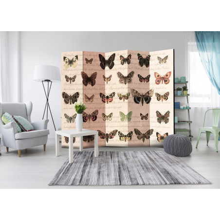 Paravan Retro Style: Butterflies Ii [Room Dividers] 225 cm x 172 cm-01