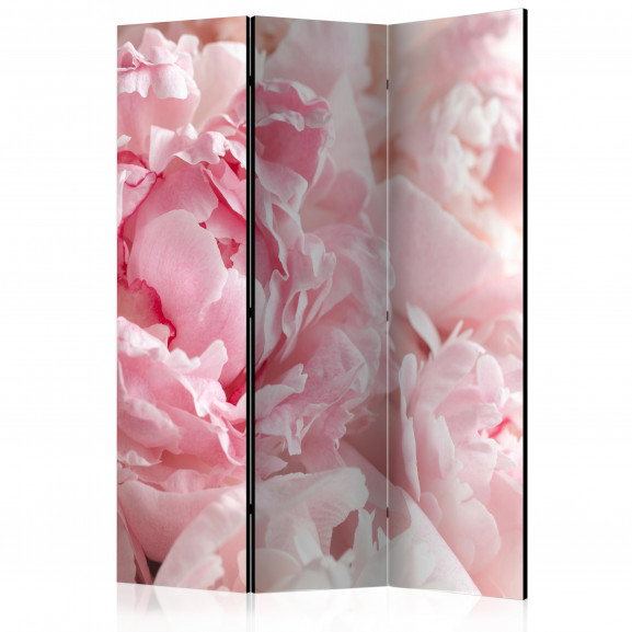 Paravan Sweet Peonies [Room Dividers] 135 cm x 172 cm