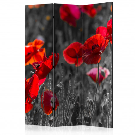 Paravan Red Poppies [Room Dividers] 135 cm x 172 cm-01
