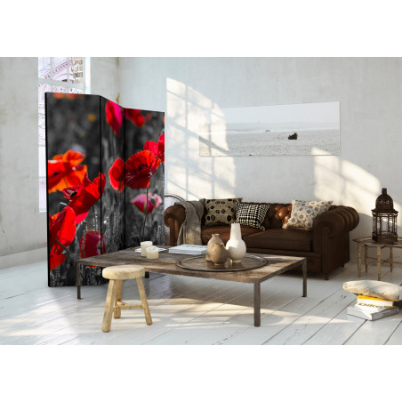 Paravan Red Poppies [Room Dividers] 135 cm x 172 cm-01