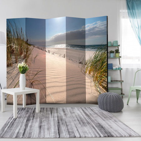 Paravan Beach In Mrzezyno Ii [Room Dividers] 225 cm x 172 cm-01