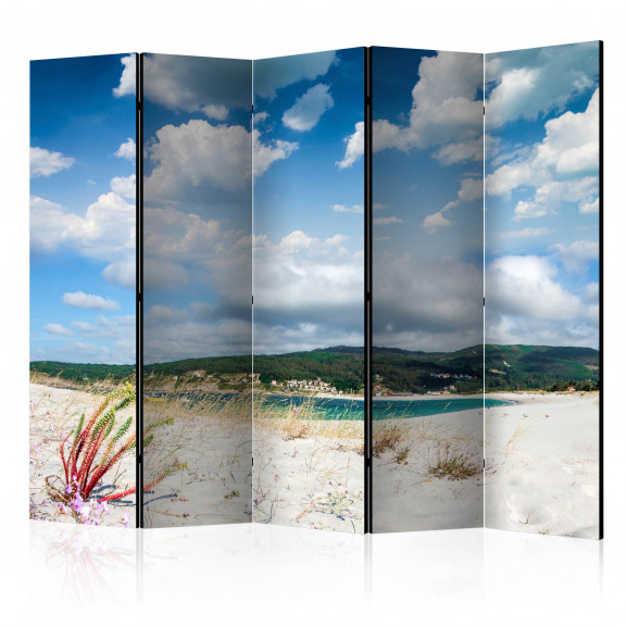 Paravan Beach On The Costa Da Morte Ii [Room Dividers] 225 cm x 172 cm
