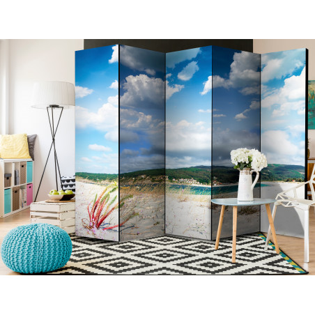 Paravan Beach On The Costa Da Morte Ii [Room Dividers] 225 cm x 172 cm-01