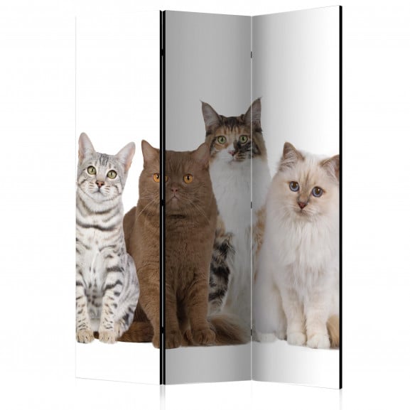 Paravan Sweet Cats [Room Dividers] 135 cm x 172 cm