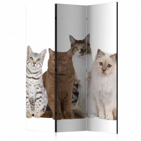 Paravan Sweet Cats [Room Dividers] 135 cm x 172 cm-01