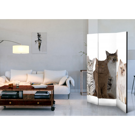 Paravan Sweet Cats [Room Dividers] 135 cm x 172 cm-01