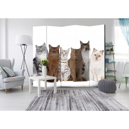 Paravan Sweet Cats Ii [Room Dividers] 225 cm x 172 cm-01