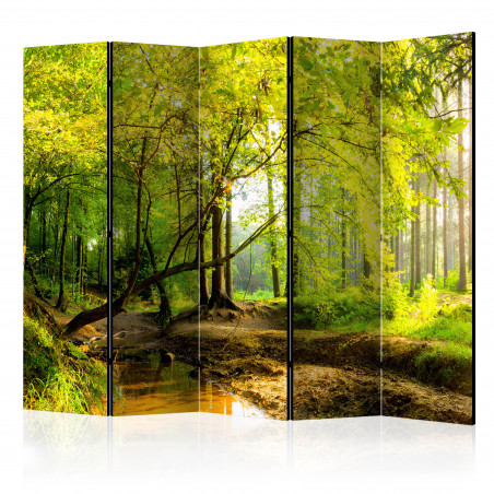 Paravan Forest Clearing Ii [Room Dividers] 225 cm x 172 cm-01