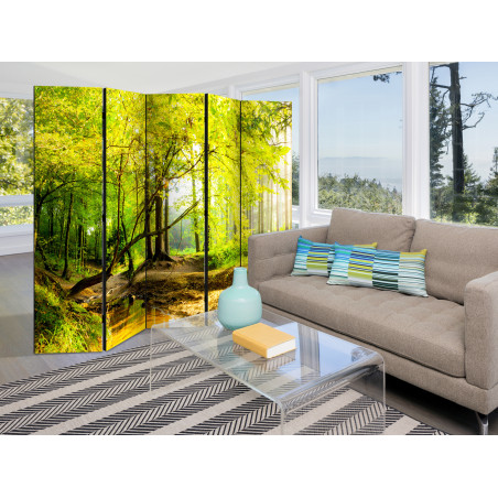 Paravan Forest Clearing Ii [Room Dividers] 225 cm x 172 cm-01
