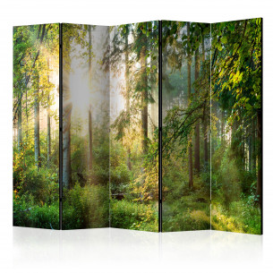 Paravan Untamed Nature Ii [Room Dividers] 225 cm x 172 cm