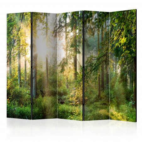 Paravan Untamed Nature Ii [Room Dividers] 225 cm x 172 cm-01