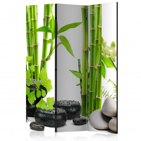 Paravan Bamboos And Stones [Room Dividers] 135 cm x 172 cm-01