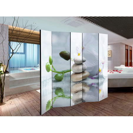 Paravan Water Reflection Ii [Room Dividers] 225 cm x 172 cm-01