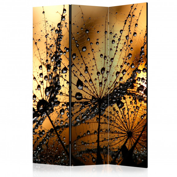 Paravan Dandelions In The Rain [Room Dividers] 135 cm x 172 cm