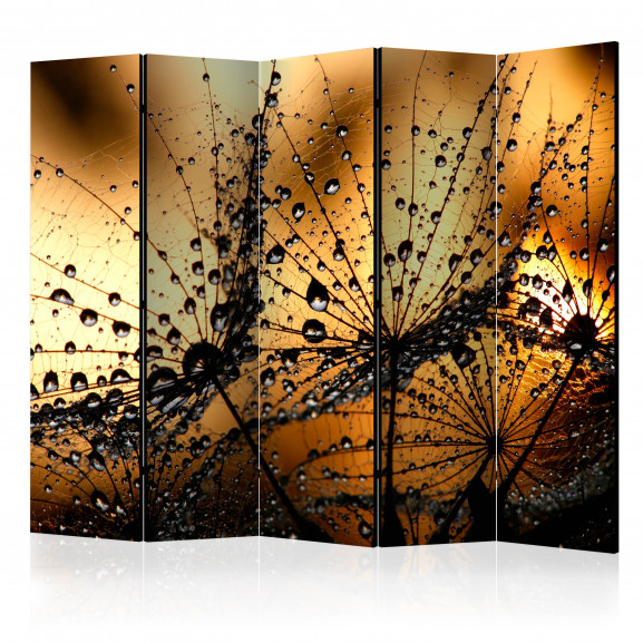 Paravan Dandelions In The Rain Ii [Room Dividers] 225 cm x 172 cm