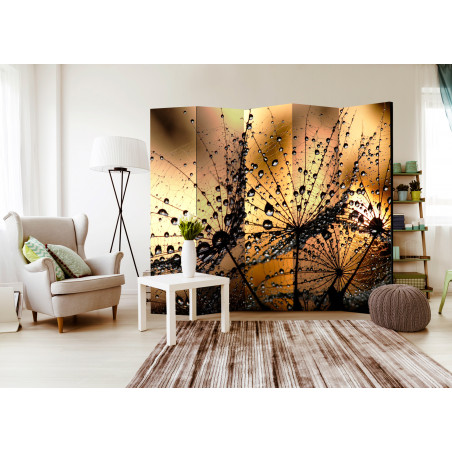 Paravan Dandelions In The Rain Ii [Room Dividers] 225 cm x 172 cm-01