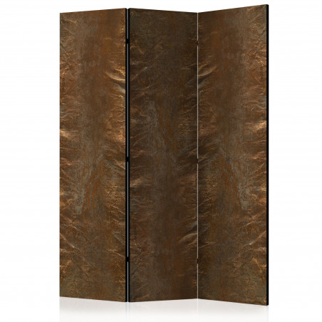 Paravan Copper Chic [Room Dividers] 135 cm x 172 cm-01