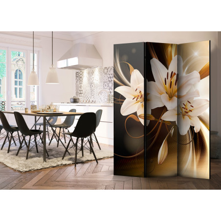 Paravan Circle Of Light [Room Dividers] 135 cm x 172 cm-01