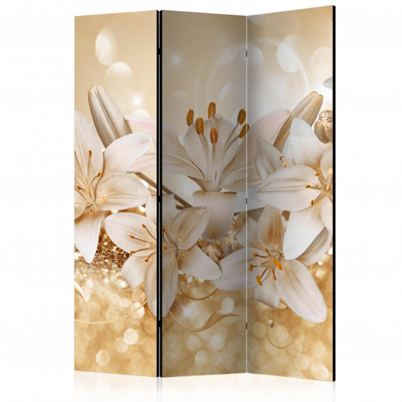 Paravan Royal Entourage [Room Dividers] 135 cm x 172 cm