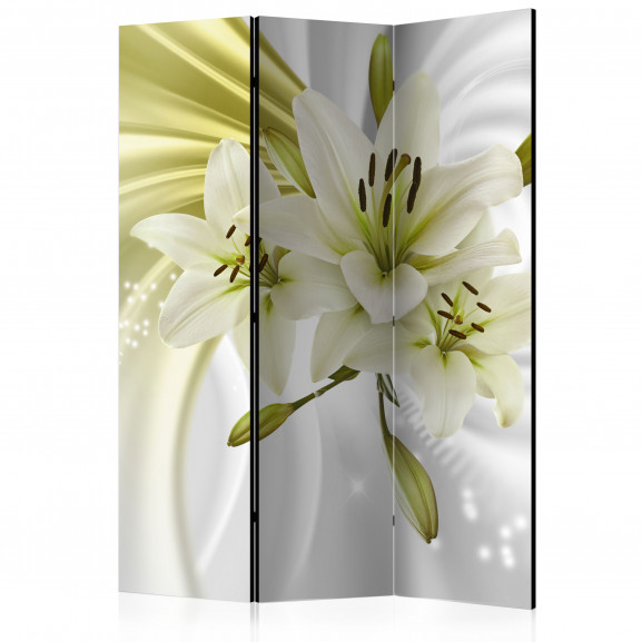 Paravan Green Captivation [Room Dividers] 135 cm x 172 cm