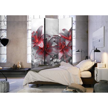 Paravan Shadow Of Passion [Room Dividers] 135 cm x 172 cm-01